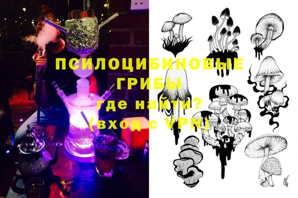 гашик Липки