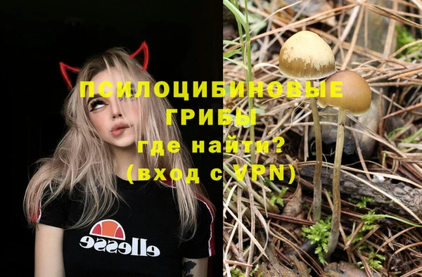 гашик Липки