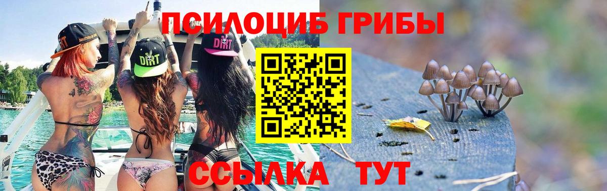 Шадринск  Псилоцибиновые грибы ЛСД  Вход с VPN 