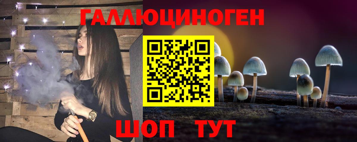 Псилоцибиновые грибы Psilocybine cubensis Шадринск